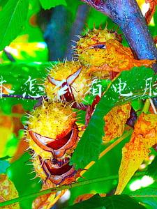 笔记本怎么看电脑配置