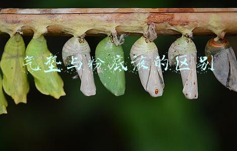 气垫与粉底液的区别