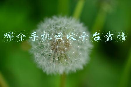 哪个手机回收平台靠谱