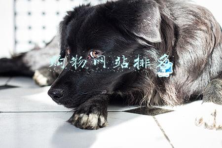 购物网站排名