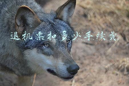 提前两个小时退机票扣多少手续费(1738元机票提前10天退竟要扣1182元退票费)
