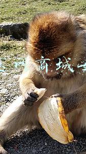 淘宝网商城女装