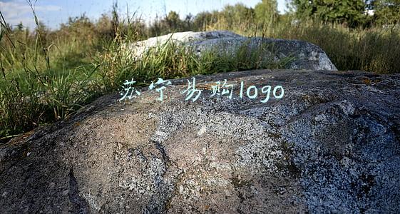 苏宁易购logo