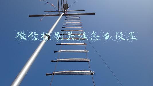 微信特别关注怎么设置