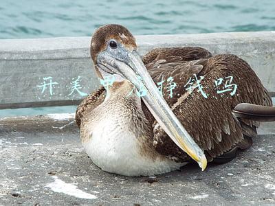 开美甲店挣钱吗
