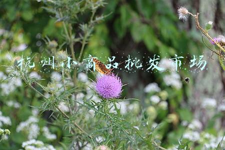 杭州小商品批发市场