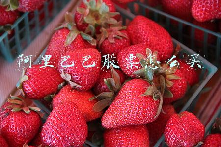 阿里巴巴股票怎么买
