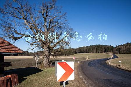 合拍抖音怎么拍声音同步(如何调整配音位置，让声音和视频画面同步)
