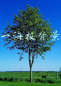 双十一海报背景图片