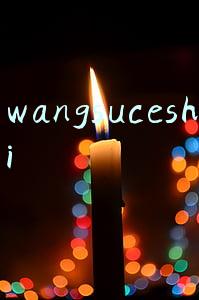 wangsuceshi