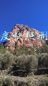 百度快照删除