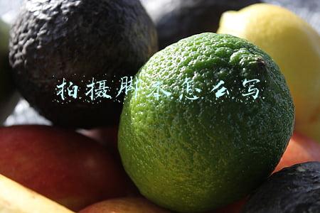 拍摄脚本怎么写