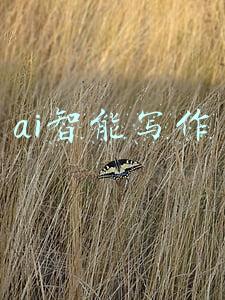 ai智能写作网站(AI智能写作软件)