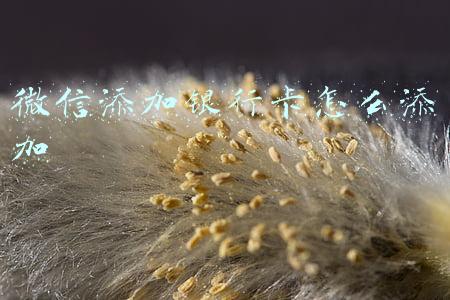 微信添加银行卡怎么添加