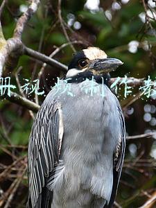 美册视频制作教程