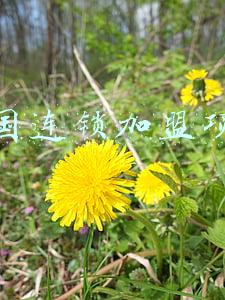 全国连锁加盟项目网(2021第十五届长春连锁加盟创业项目展21日开幕)