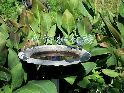 网游排行榜