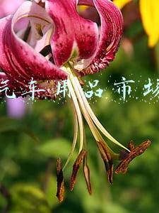 汽车用品市场