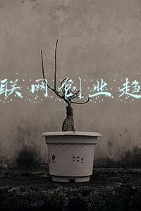 互联网创业趋势2020年(告别野蛮生长，网络文学出海趋势上升)