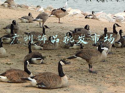 广州饰品批发市场