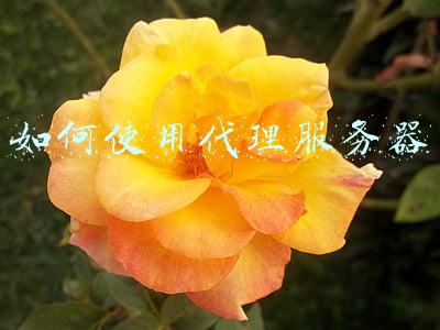 如何使用代理服务器