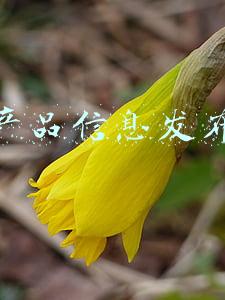 产品信息发布