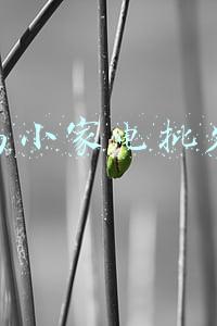 义乌小家电批发网