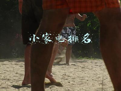小家电排名