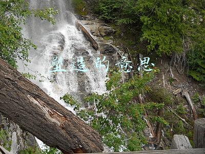 塑造的意思