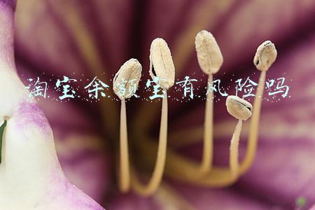 淘宝余额宝有风险吗
