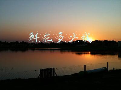 鲜花多少钱