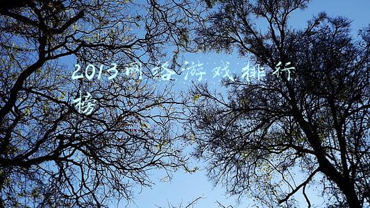 2013网络游戏排行榜