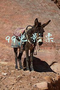 qq电影票
