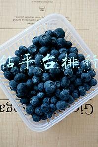 刷钻平台排行榜