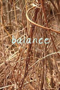 balance