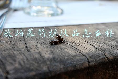 欧珀莱的护肤品怎么样