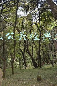 危机公关经典案例