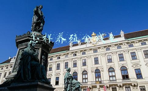 怎样养殖金钱龟