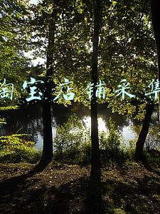 淘宝店铺采集