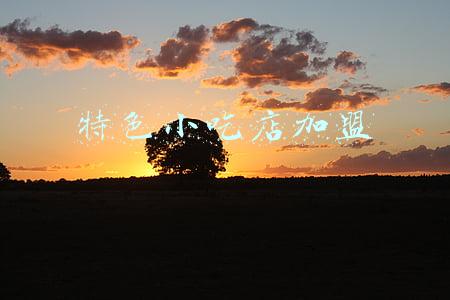特色小吃店加盟