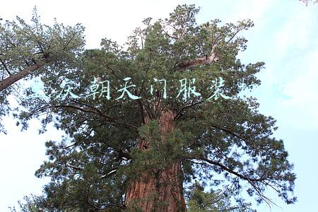 重庆朝天门服装批发