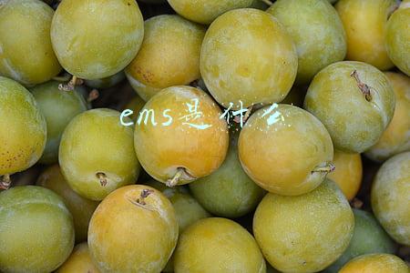 ems是什么
