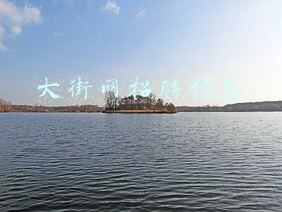 大街网企业招聘官网(社交招聘的路并不好走，领英这次要革新了)