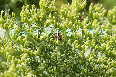 电子商务平台有哪些