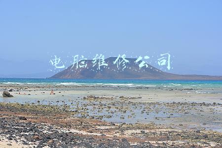 电脑维修公司