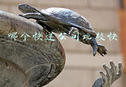 哪个快递公司比较快