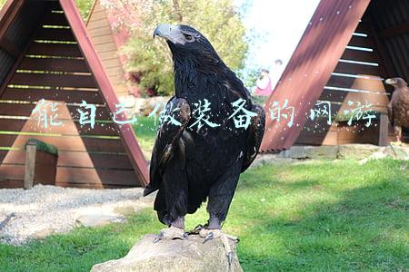 能自己做装备的网游