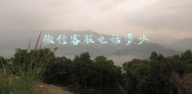 微信客服电话多少