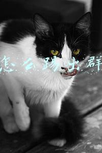 微信怎么踢出群成员