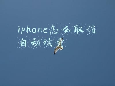 iphone怎么取消自动续费